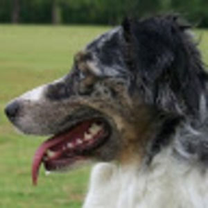 Meet your Posher, Travis